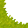 swamp