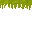 swamp