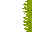swamp
