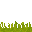 swamp