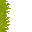 swamp