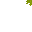 swamp