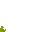 swamp