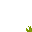 swamp