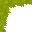 swamp