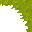 swamp