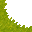 swamp