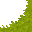 swamp