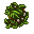 grass