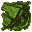 grass
