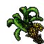 banana tree