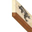 framework wall
