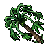 pawpaw tree