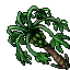 pawpaw tree