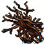 dry mangrove