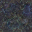 ocean floor