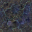 ocean floor