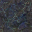 ocean floor