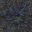 ocean floor