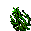kelp