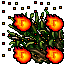 burning sugar cane