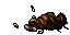 dead carrion worm