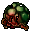 dead tortoise