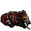 dead mammoth