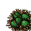 hydra's nest