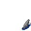 shark fin