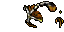 dead toad