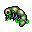 dead larva