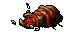 dead carrion worm