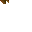 tree wall