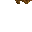 tree wall