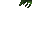 grass roof
