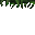 grass roof