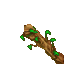 branch
