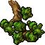 large branch