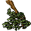 large branch