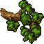 large branch
