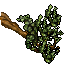 large branch