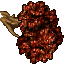 large branch