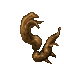 branch
