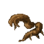 branch