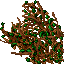 tendril wall