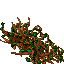 tendril wall