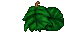 some leaves