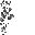 debris
