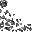 debris